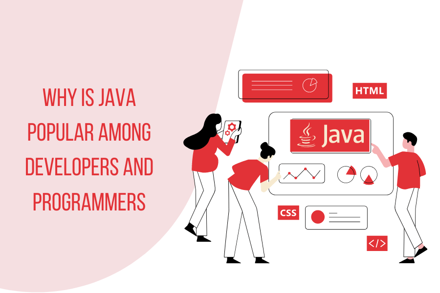 Why is Java popular among developers and programmers?